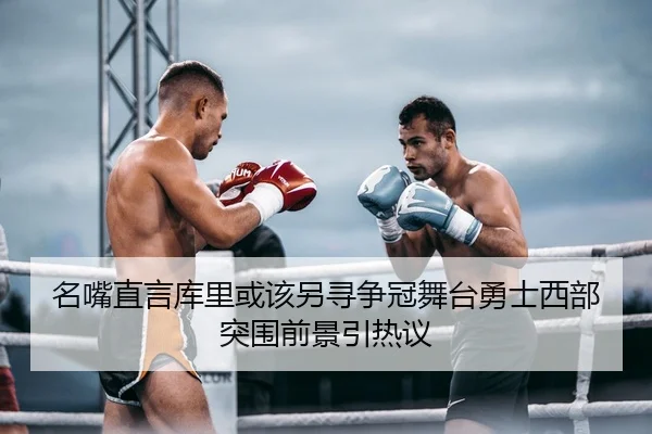 名嘴直言库里或该另寻争冠舞台勇士西部突围前景引热议